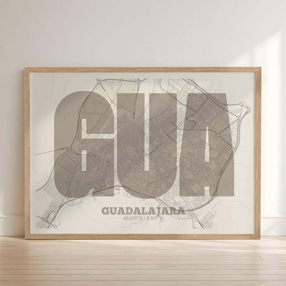 Guadalajara Map V02
