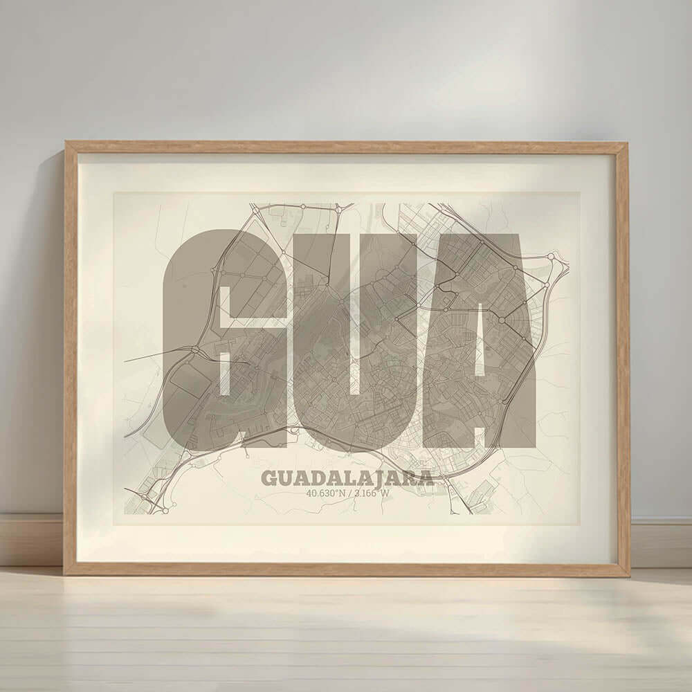 Guadalajara Map V02