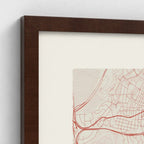 Carnation over Madrid. San Isidro